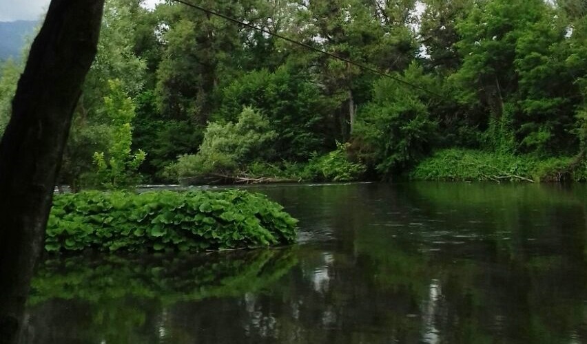 Nestos river (Paranesti area)